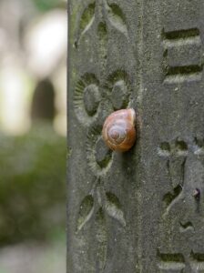 葬式を安く済ませるための具体的な方法は？