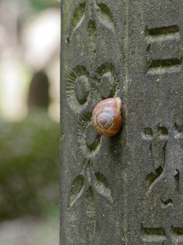 葬式を安く済ませるための具体的な方法は？