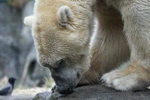 遺族の負担を軽減するための葬儀の工夫は？