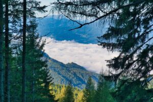 一日葬の流れを知るために必要なステップは？