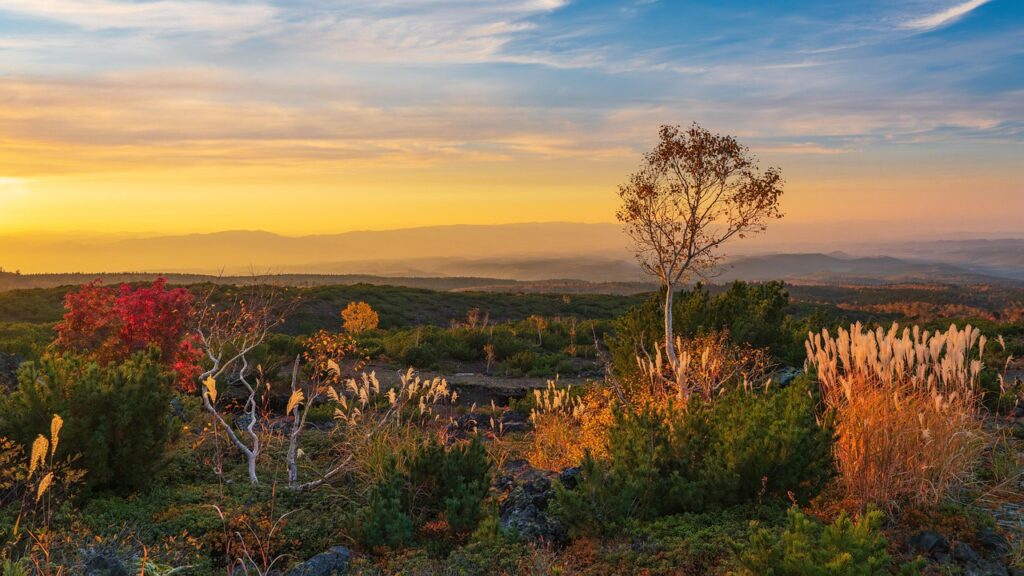 北海道の香典の相場はいくらが一般的ですか？