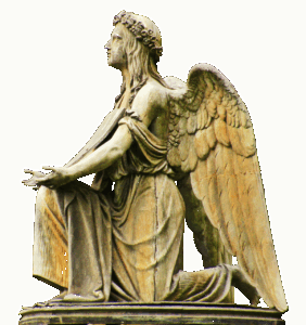 無宗教の葬儀プランにはどのような選択肢があるの？