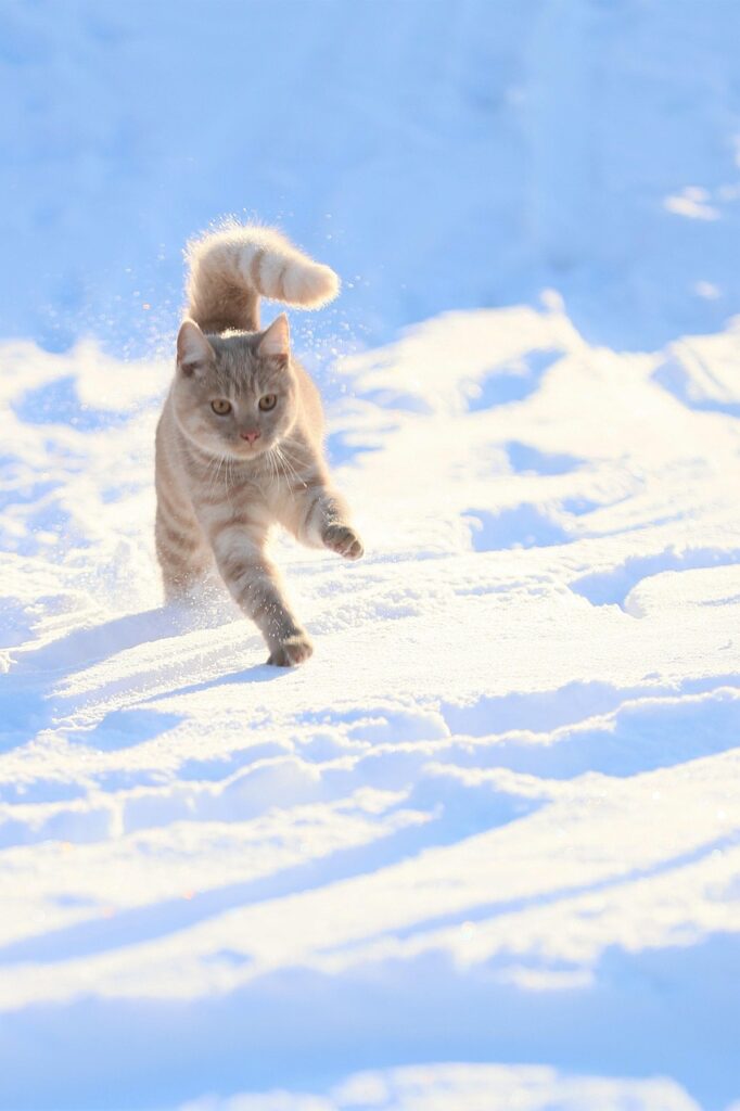 葬儀のプラン別料金はどのように決まるのか？