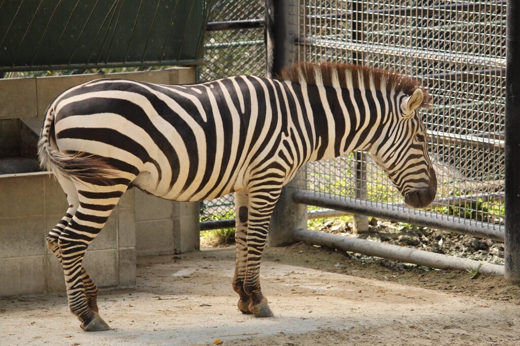 福岡での家族葬の見積りはどのように取得すればよいですか？