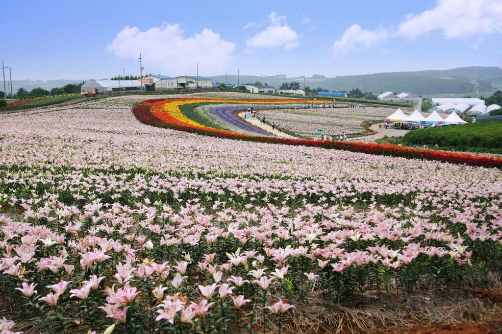 家族葬の最安プランを選ぶ際のポイントは？