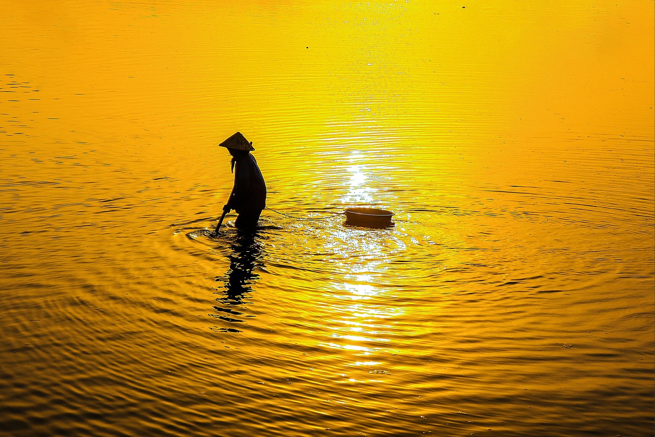 火葬式の資料請求ができるおすすめサイトは？