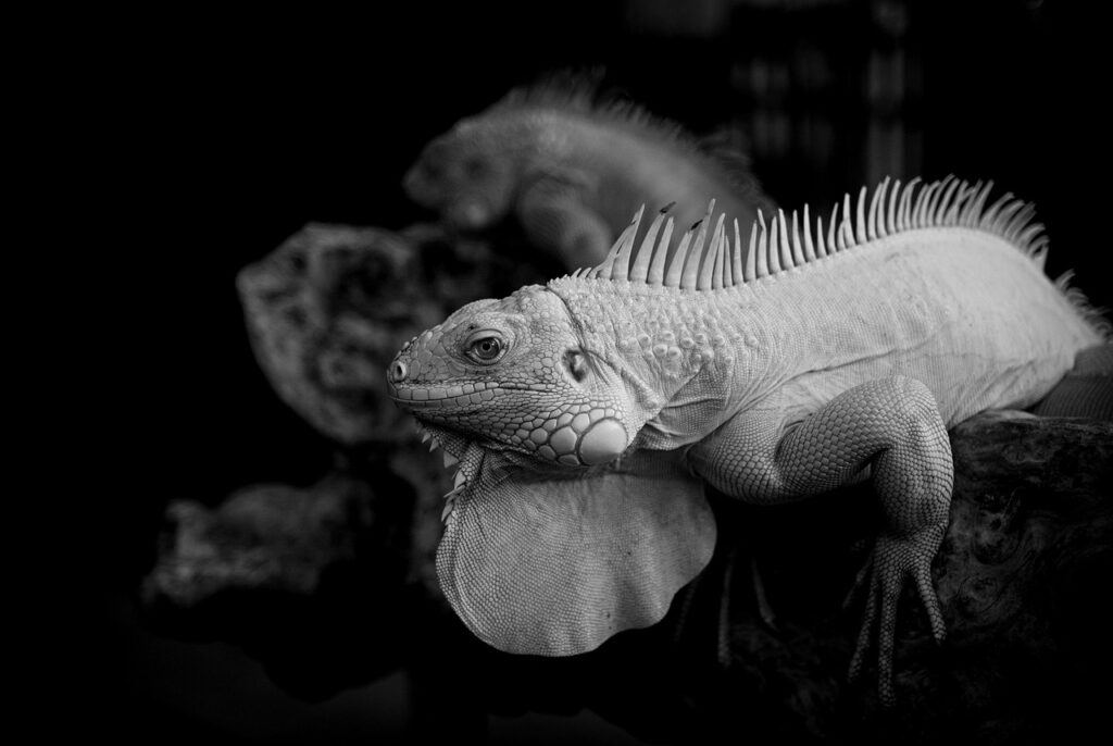 精進落としを省略することは可能ですか？