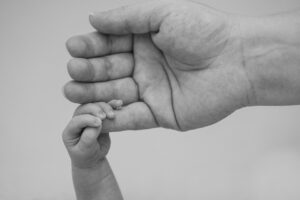 家族葬と火葬式の完全比較で知っておくべきポイントは？