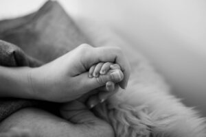 家族葬のリアルな口コミはどこで見つけられる？