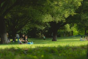 家族葬の成功例から学ぶ、後悔しない選び方は？