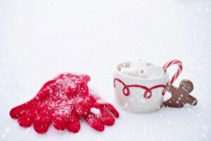 火葬式の評判は良いのか？実際の体験談と選び方のポイントは？