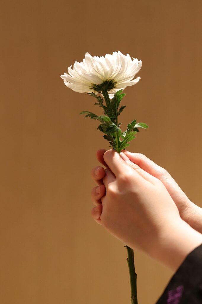 葬儀の見積りで安いおすすめの業者はどこ？
